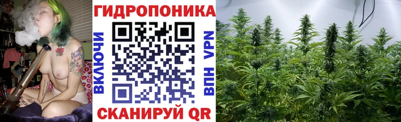 Магазины продажи наркотиков Буй Гашиш  КОКАИН  СОЛЬ  Марихуана  Мефедрон 