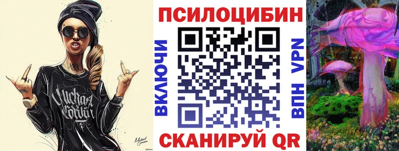 где купить   Буй  Галлюциногенные грибы GOLDEN TEACHER 